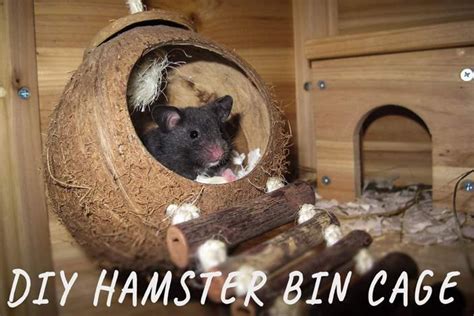 DIY Hamster Bin Cage | Pet Care Advisors