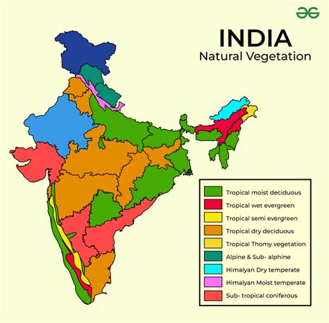 Natural Vegetation in India - GeeksforGeeks