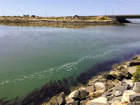 Hubbs Trail Tour at Agua Hedionda Lagoon – San Diego Beach Secrets