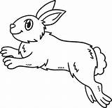 Rabbit Coloring Hopping Pages Bunny Rabbits Template Outline Gif  sketch template