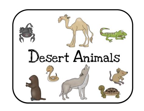 Desert Animals Bulletin Board Cards ~ Preschool Printables