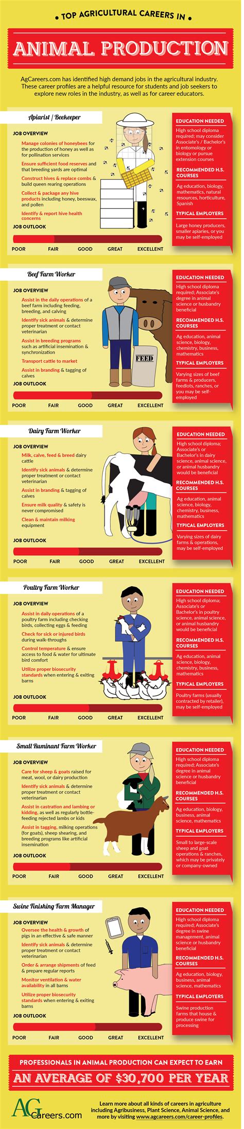 Careers in Animal Production | Agriculture education, Agriculture jobs, Agriculture careers