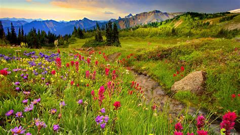 beautiful, mountains, red, desktop, trees, 1080P, meadow, landscape ...