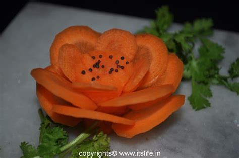 Carrot Flower | Do It Yourself