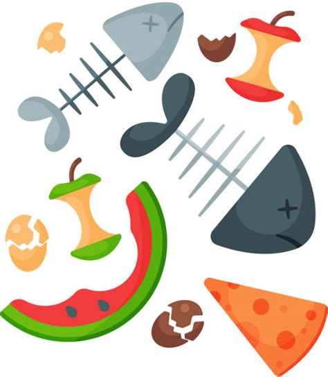 Best Food Waste Illustrations, Royalty-Free Vector Graphics & Clip Art ...