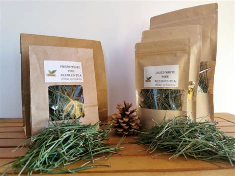 Dried Organic White Pine Needle Tea Pine Needles Pine Needles for Tea Pinus Sylvestris White ...