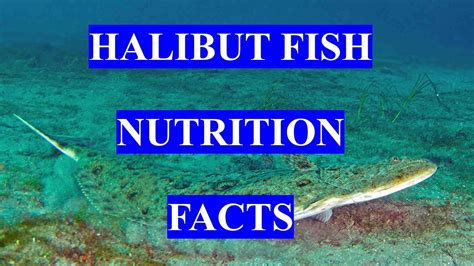 HALIBUT FISH - HEALTH BENEFITS AND NUTRITION FACTS - YouTube