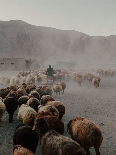 Xinjiang Uyghur Autonomous Region - Making Pictures