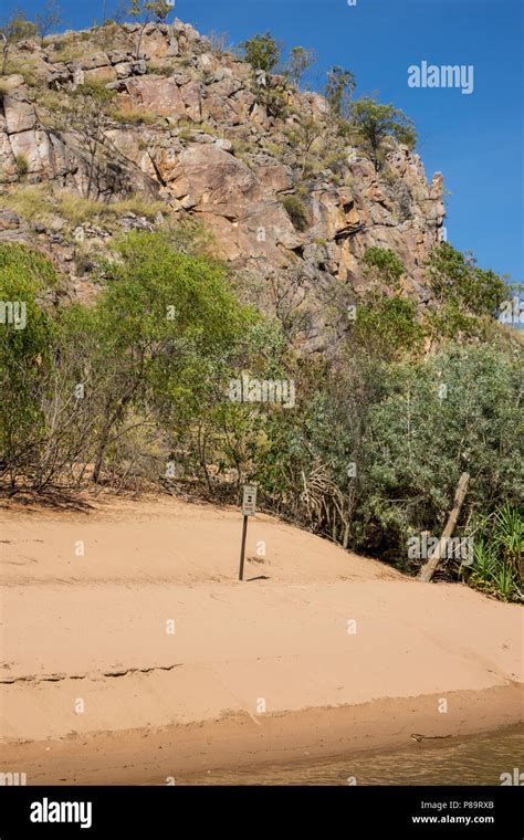 Crocodile Nesting site in Nitmiluk Gorge, Northern Territory Stock Photo - Alamy