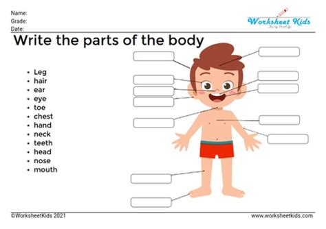 Body parts worksheet and activities for preschoolers and Kindergarten kids