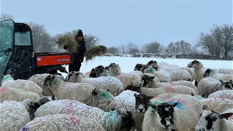 STORM ARWEN , SNOW … WINTER HITS - YouTube