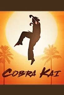 Cobra Kai - Season 1 Episode 1 - Rotten Tomatoes