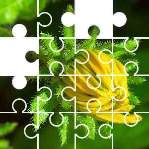 Daily Jigsaw Puzzle - Puzzle of the Day - JigZone.com