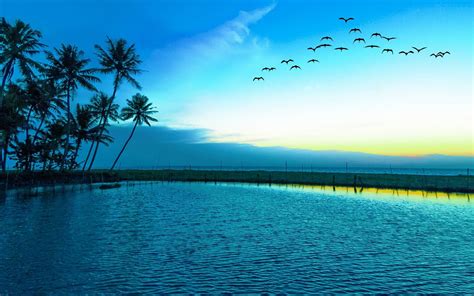 Sun Rising And Birds Wallpapers - Wallpaper Cave