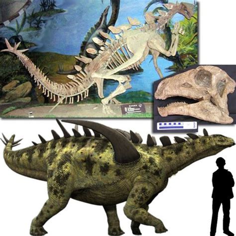 Gigantspinosaurus... Check out those shoulder spikes! | Paleontology ...