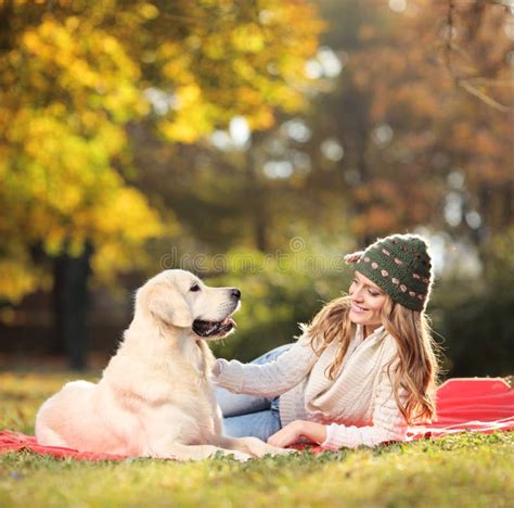 Girl Playing With Her Labrador Retriever Dog Stock Photo - Image: 22104980