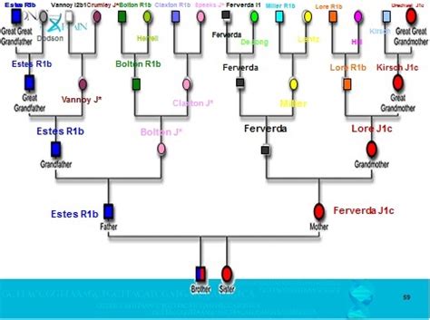 The DNA Pedigree Chart – Mining for Ancestors | DNAeXplained – Genetic ...