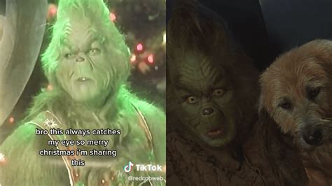 A TikToker Spotted A Truly Terrifying Costume Fail In The Grinch & I Hate It