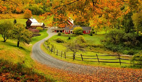 A photographer's guide to perfecting your fall foliage snaps | Woodstock VT