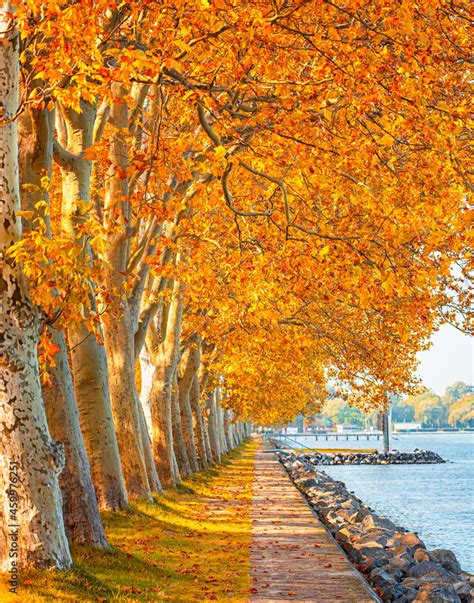 Pathway at lake Balaton in autumn Stock Photo | Adobe Stock