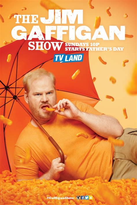 The Jim Gaffigan Show TV Poster (#6 of 7) - IMP Awards