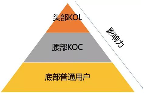 KOL是什么还没搞清，KOC就这么来了？_凤凰网