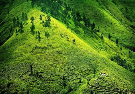 Green pastures | Beautiful nature, Beautiful photos of nature ...