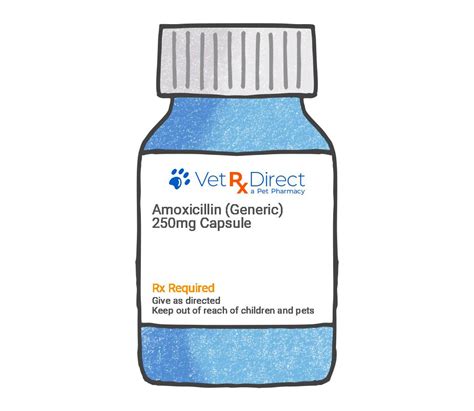 Amoxicillin for Dogs and Cats - Antibiotic for Pets | VetRxDirect ...