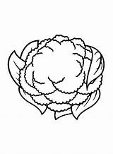 Mais de 30 Páginas Para Colorir couve Flor  PDF JPG PNG sketch template