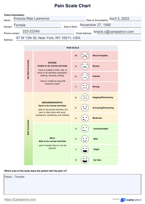 Pain Scale Chart & Example | Free PDF Download