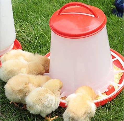 Poultry Pan Bucket 3kg 6kg Plastic Chicken Feeder For Water Drinker