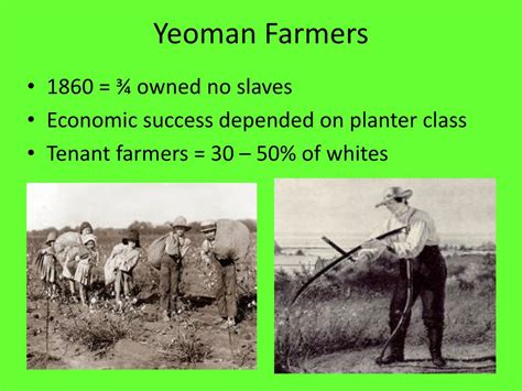 PPT - Southern Society & Slavery PowerPoint Presentation, free download ...