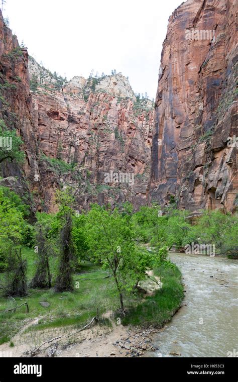 Zion National Park is located near Springdale (Utah Stock Photo - Alamy