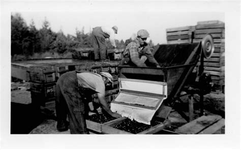 The Early Years ... | Wisconsin State Cranberry Growers Association ...