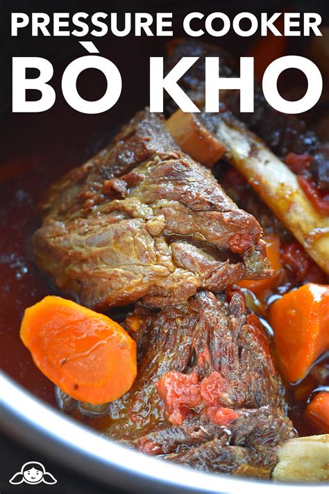 Instant Pot (Pressure Cooker) Bò Kho (Vietnamese Beef Stew) - Nom Nom Paleo®