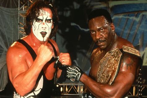 Sting Vs Undertaker