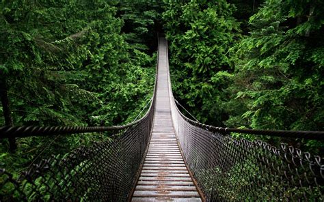 Forest Bridge Wallpapers - Top Free Forest Bridge Backgrounds - WallpaperAccess