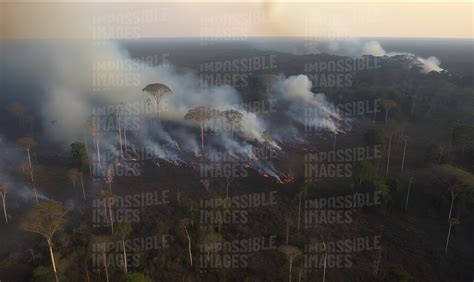 Aerial shots of an Amazon Rainforest forest fire - Impossible Images - Unique stock images for ...