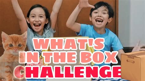 What's In The Box Challenge! - YouTube