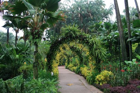 Singapore Botanical gardens | The Singapore Botanic Gardens … | Flickr