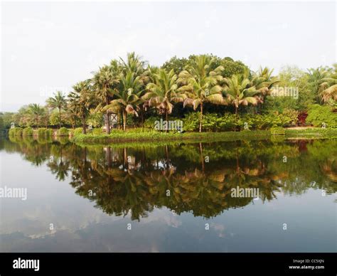 Xishuangbanna Tropical Botanical Garden, Xishuangbanna, Yunnan , China ...