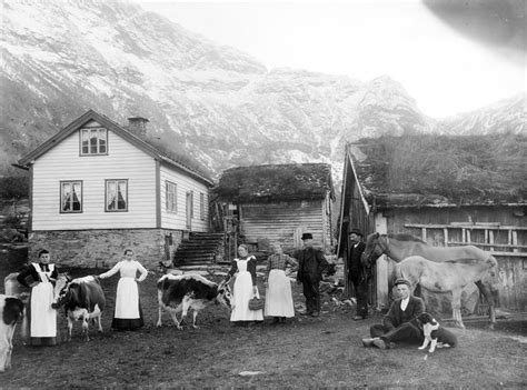 Farm, western Norway ca. 1890-1910. | History of norway, Norway viking ...