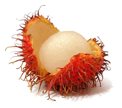 PNG Rambutan Transparent Rambutan.PNG Images. | PlusPNG