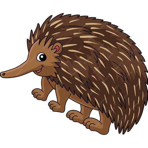 Premium Vector | Echidna Animal Cartoon Colored Clipart