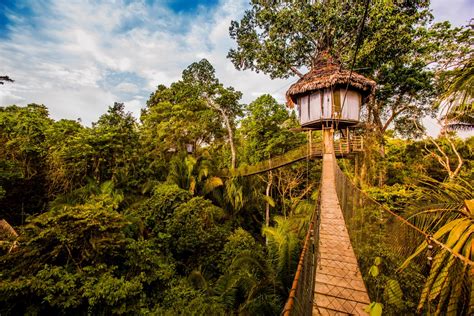 Treehouse Lodge Iquitos - Tree Top Canopy Bungalows With Peruvian ...