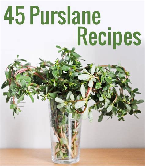 Purslane Recipes: 45 Things To Do With Fresh Purslane | Planets, Food and Recipes