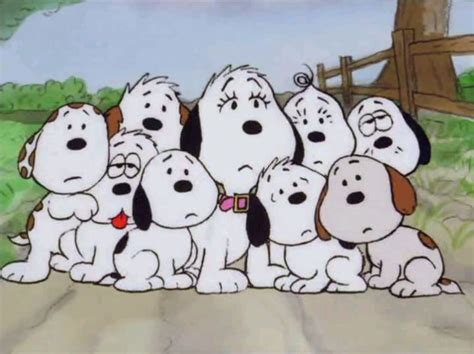 170 best Peanuts Gang Characters/Bio's images on Pinterest