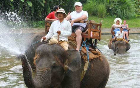 Elephant Ride Tour | Bali Sun Tours