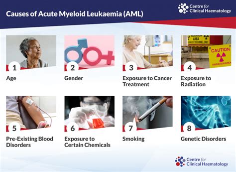 Acute Myeloid Leukaemia (AML): Signs & Treatments