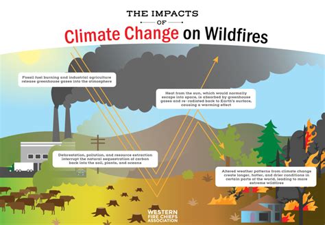 How Wildfires and Climate Change are Connected | WFCA